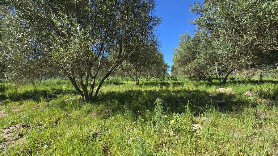 Commercial Property for Sale in Paarl Rural Western Cape